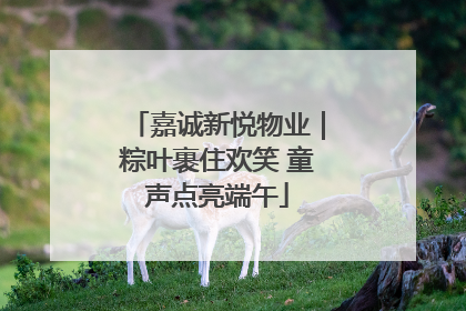 嘉诚新悦物业｜粽叶裹住欢笑 童声点亮端午