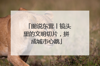 图说东营丨镜头里的文明切片,拼成城市心跳