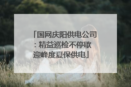 国网庆阳供电公司：精益巡检不停歇 迎峰度夏保供电
