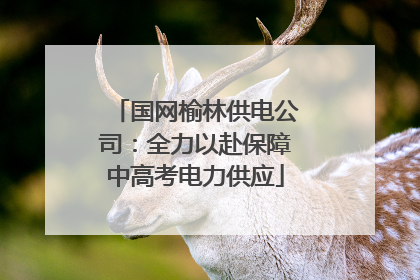 国网榆林供电公司：全力以赴保障中高考电力供应