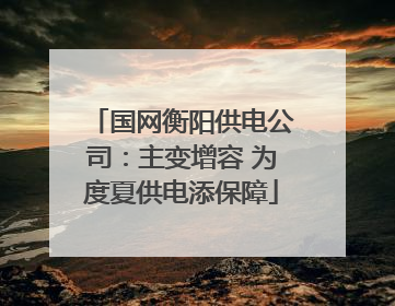 国网衡阳供电公司：主变增容 为度夏供电添保障