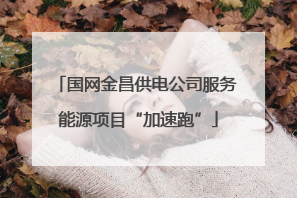国网金昌供电公司服务能源项目“加速跑”