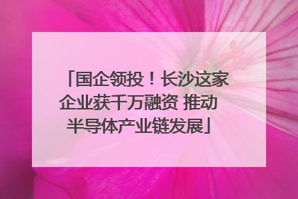 国企领投！长沙这家企业获千万融资 推动半导体产业链发展