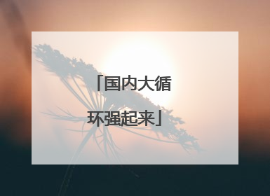 国内大循环强起来