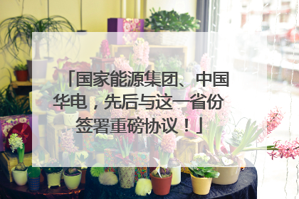 国家能源集团、中国华电，先后与这一省份签署重磅协议！