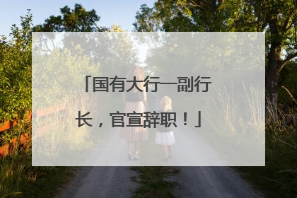 国有大行一副行长，官宣辞职！