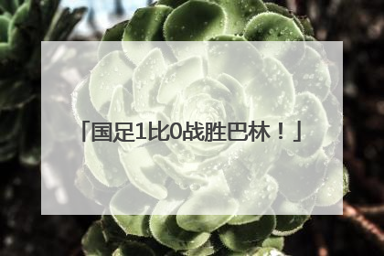 国足1比0战胜巴林！