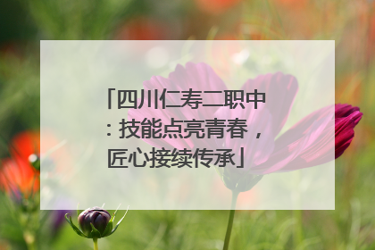 四川仁寿二职中：技能点亮青春，匠心接续传承