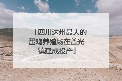 四川达州最大的蛋鸡养殖场在普光镇建成投产