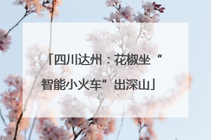 四川达州：花椒坐“智能小火车”出深山