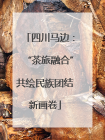四川马边：“茶旅融合”共绘民族团结新画卷