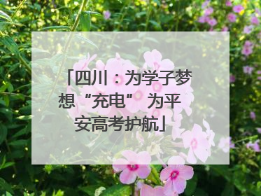 四川：为学子梦想“充电” 为平安高考护航