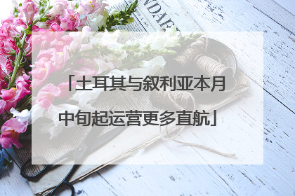 土耳其与叙利亚本月中旬起运营更多直航