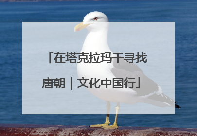在塔克拉玛干寻找唐朝｜文化中国行