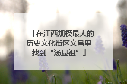 在江西规模最大的历史文化街区文昌里找到“汤显祖”