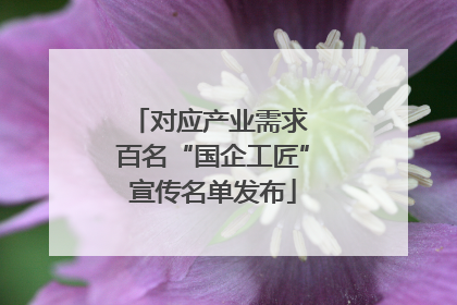 对应产业需求 百名“国企工匠”宣传名单发布