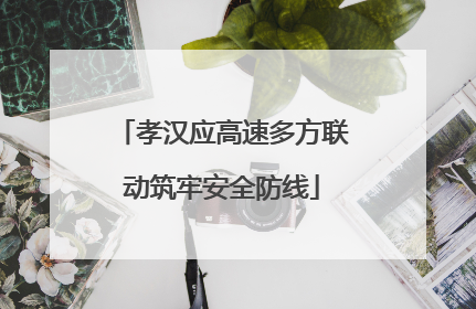孝汉应高速多方联动筑牢安全防线