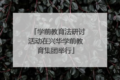 学前教育法研讨活动在兴华学前教育集团举行