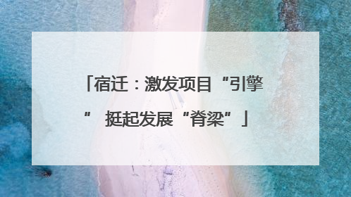 宿迁：激发项目“引擎” 挺起发展“脊梁”