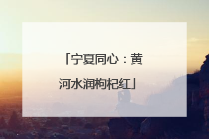 宁夏同心：黄河水润枸杞红