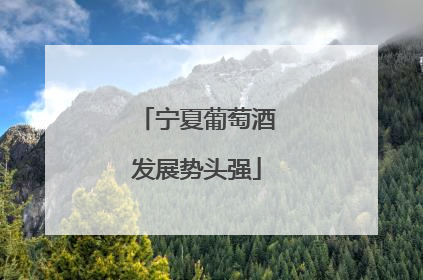 宁夏葡萄酒发展势头强