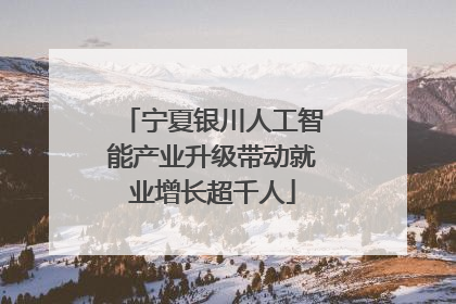 宁夏银川人工智能产业升级带动就业增长超千人