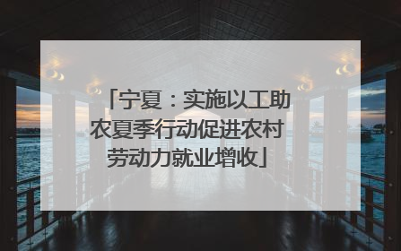 宁夏：实施以工助农夏季行动促进农村劳动力就业增收