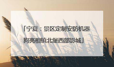 宁夏：景区定制安防机器狗亮相镇北堡西部影城