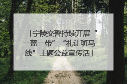 宁陵交警持续开展“一盔一带”“礼让斑马线”主题公益宣传活