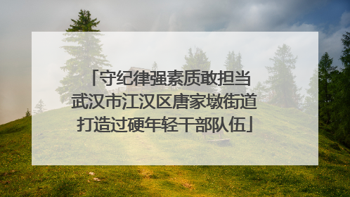 守纪律强素质敢担当 武汉市江汉区唐家墩街道打造过硬年轻干部队伍