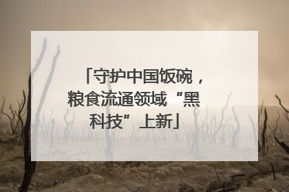 守护中国饭碗，粮食流通领域“黑科技”上新