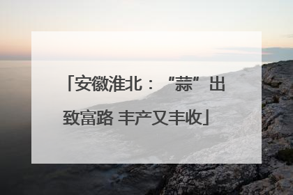 安徽淮北：“蒜”出致富路 丰产又丰收