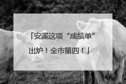 安溪这项“成绩单”出炉！全市第四！