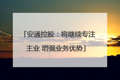 安通控股：将继续专注主业 增强业务优势
