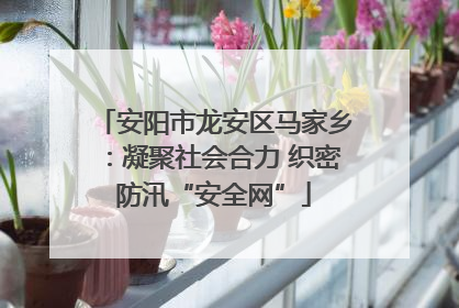 安阳市龙安区马家乡：凝聚社会合力 织密防汛“安全网”