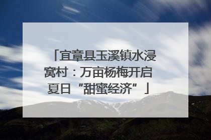 宜章县玉溪镇水浸窝村：万亩杨梅开启夏日“甜蜜经济”