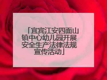 宜宾江安四面山镇中心幼儿园开展安全生产法律法规宣传活动