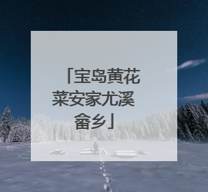 宝岛黄花菜安家尤溪畲乡