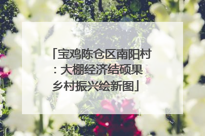 宝鸡陈仓区南阳村：大棚经济结硕果 乡村振兴绘新图