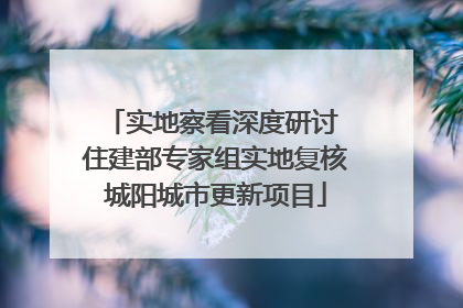 实地察看深度研讨 住建部专家组实地复核城阳城市更新项目