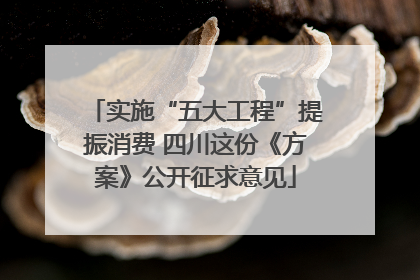 实施“五大工程”提振消费 四川这份《方案》公开征求意见