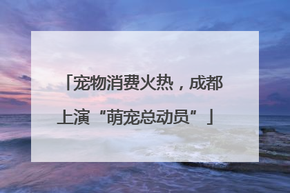 宠物消费火热，成都上演“萌宠总动员”