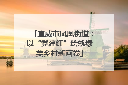 宣威市凤凰街道：以“党建红”绘就绿美乡村新画卷