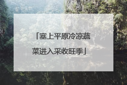 塞上平原冷凉蔬菜进入采收旺季