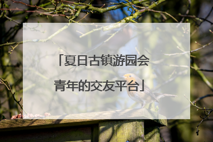 夏日古镇游园会 青年的交友平台