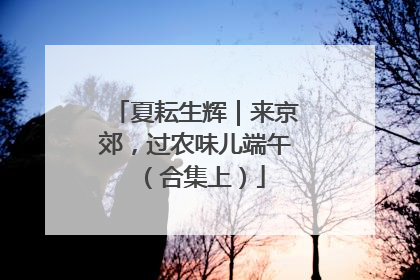 夏耘生辉｜来京郊，过农味儿端午（合集上）