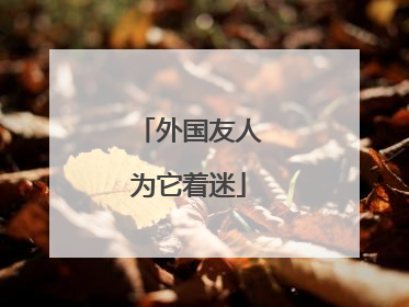 外国友人为它着迷