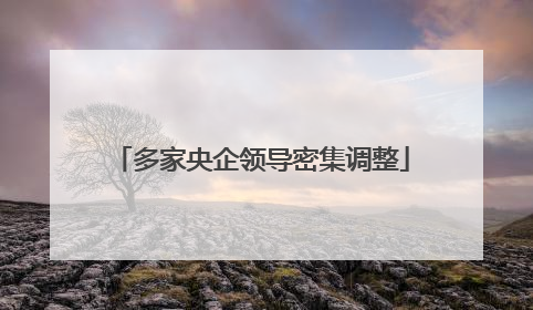 多家央企领导密集调整