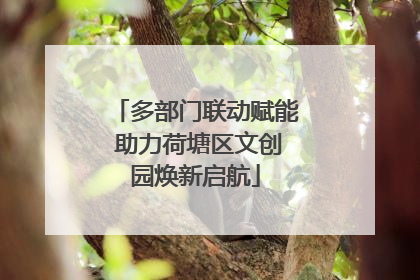 多部门联动赋能 助力荷塘区文创园焕新启航