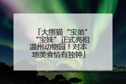大熊猫“宝弟”“宝妹”正式亮相温州动物园！对本地美食情有独钟
